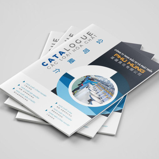 catalogue-1735134882